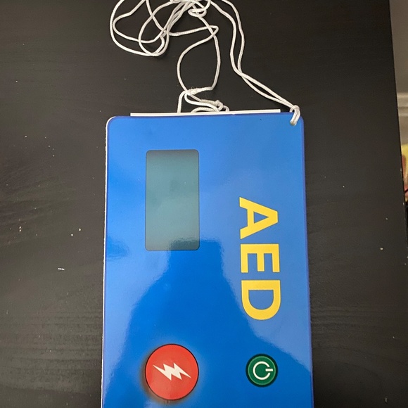 Mini Anne Manikin with Simulated Cardboard AED Trainer - Picture 3 of 3